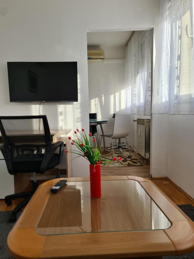 Apartman U Velikoj Gorici Zeljko Velika Gorica Zewnętrze zdjęcie